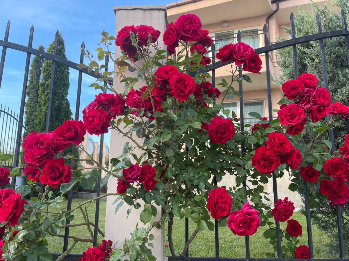 Villa Mia Sozopol Bagian luar foto
